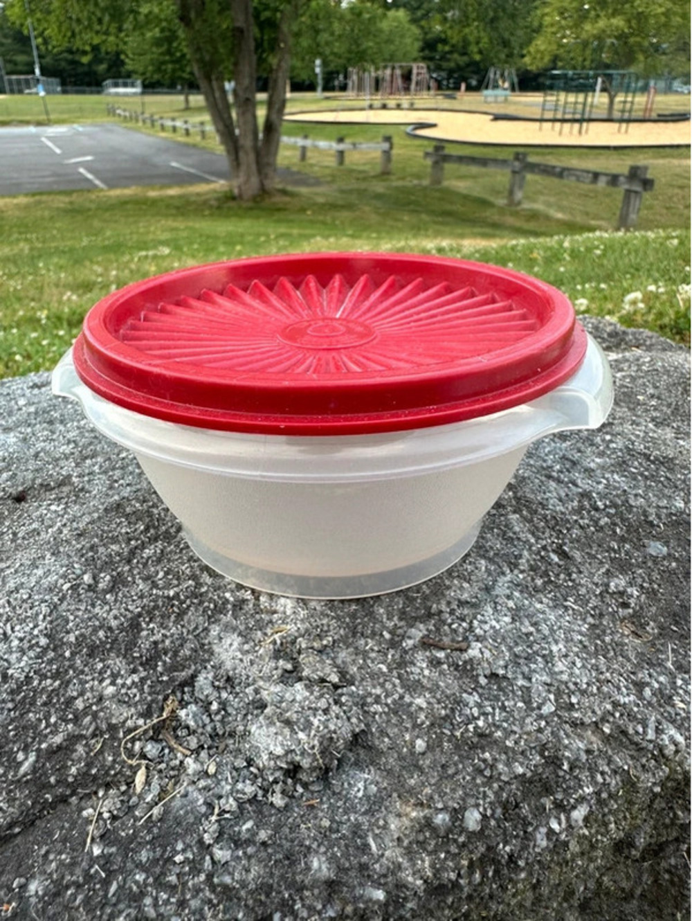 Vintage Tupperware Servalier sheer bowl with red lid